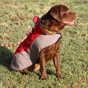 Нейлоновая шлейка накидка дождевик для лабрадора «Raincoat Cape»